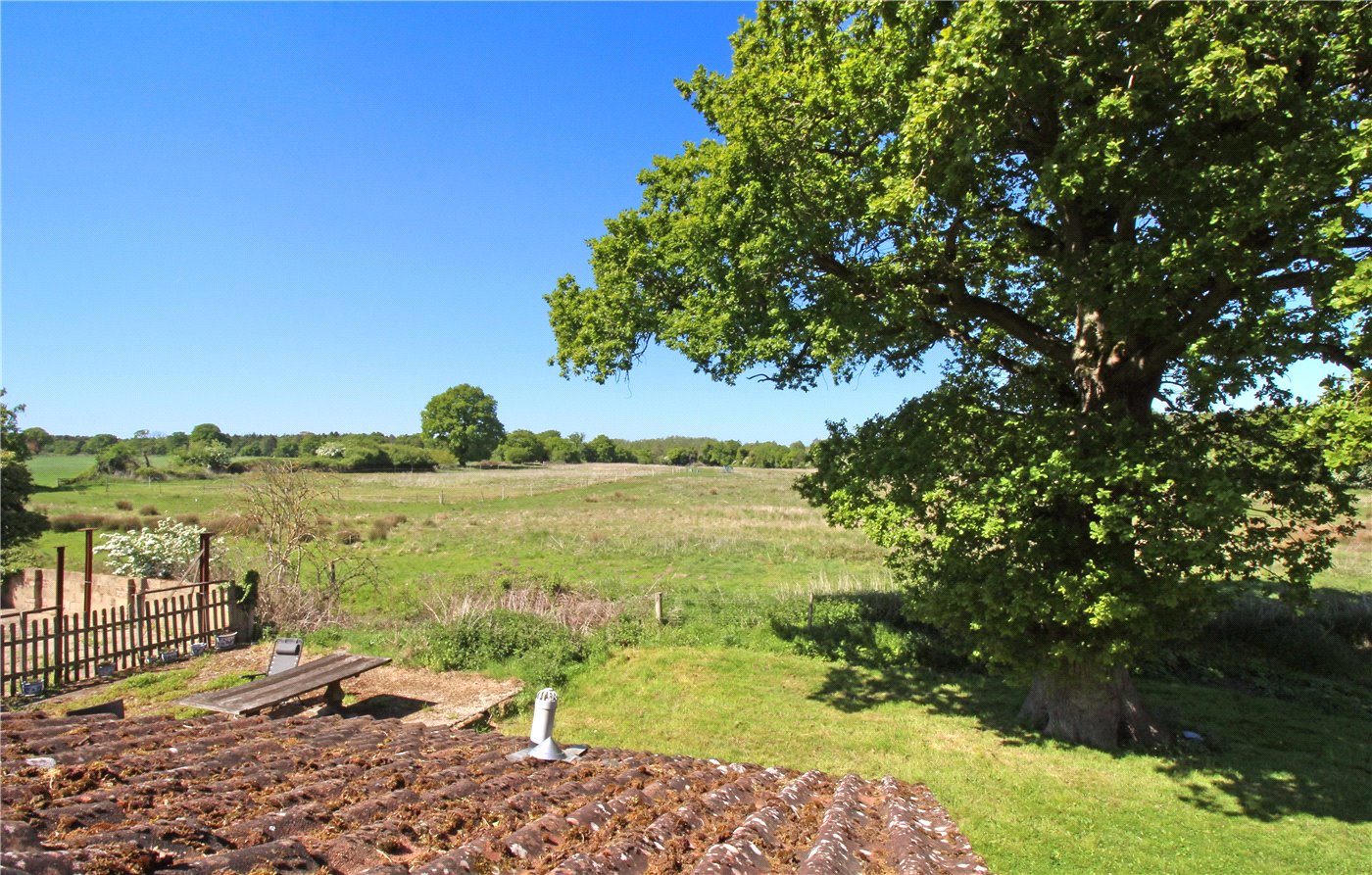 View From Farmhouse